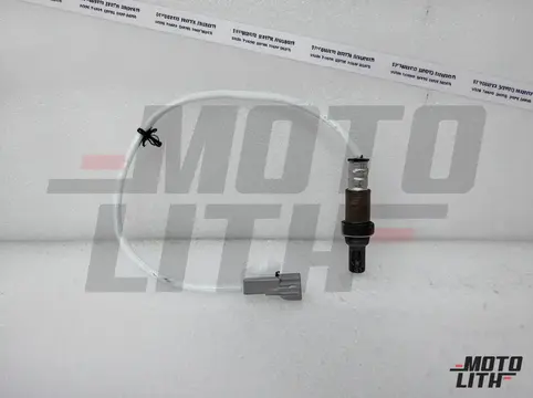 SENSOR OXYGEN RR
