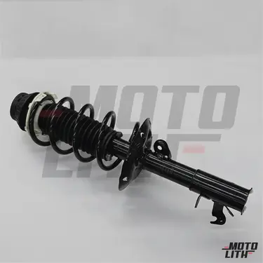 Suspension Strut Assy