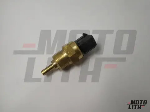 Temperature Sensor 