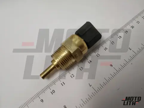 Temperature Sensor
