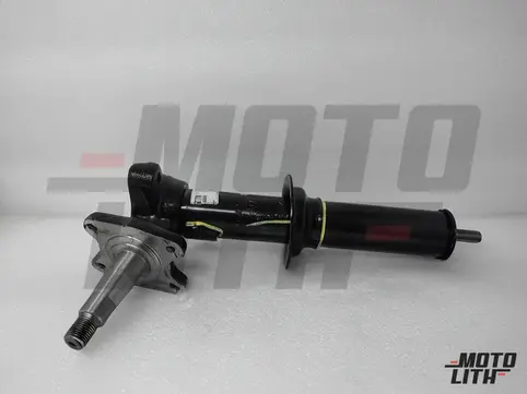 STRUT ASSYRH SUSPENSION