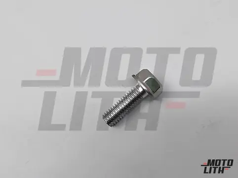 BOLT, FLANGE