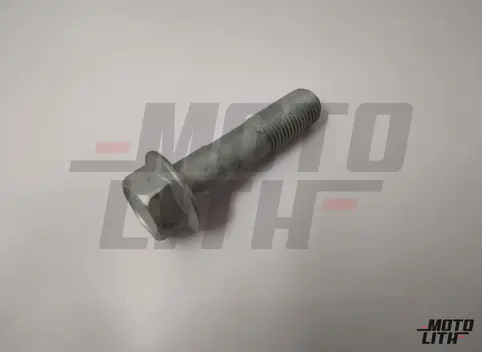BOLT (12X53)