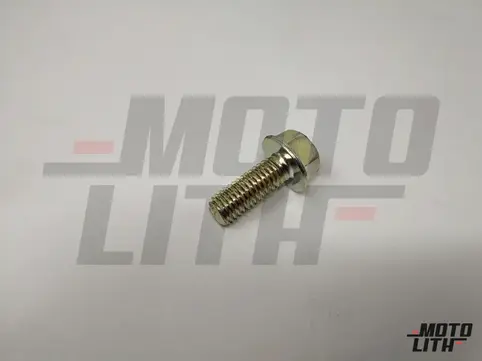 BOLT, FLANGE, 8X20