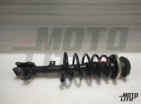 Front Suspension Strut Assembly Left