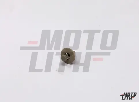 CLIP